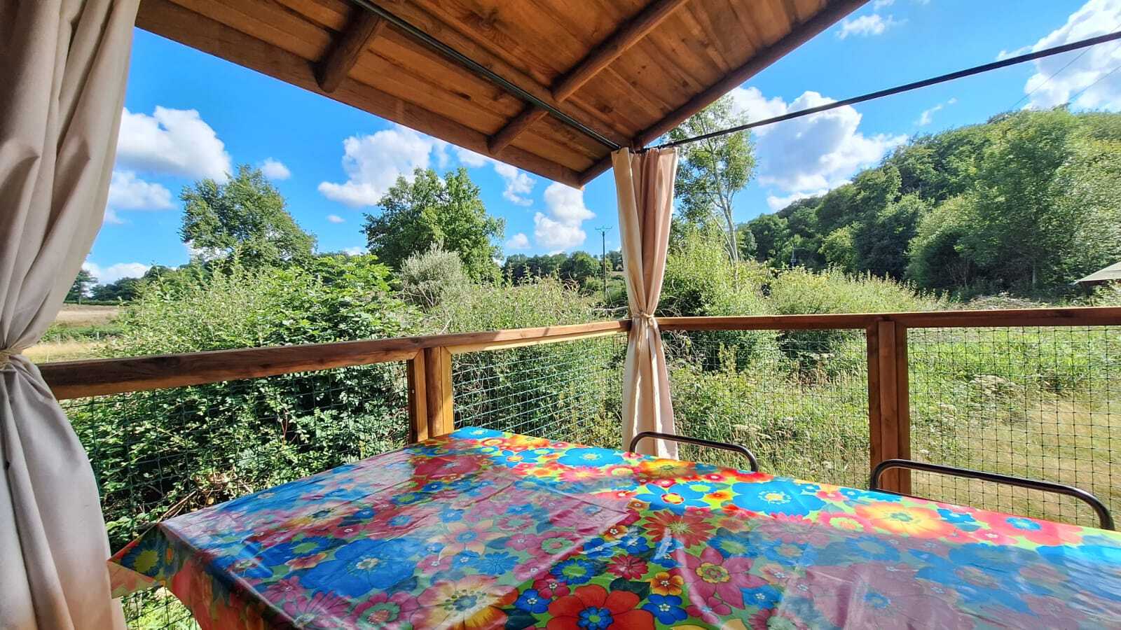 IMG_20250801_WA0037.jpg IMG_20250801_WA0037.jpg