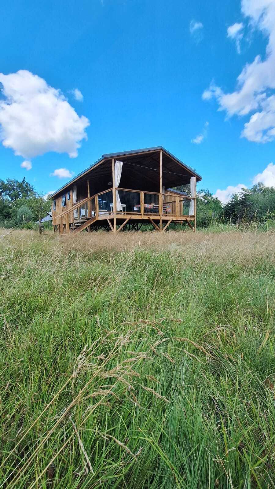 IMG_20250801_WA0042.jpg IMG_20250801_WA0042.jpg