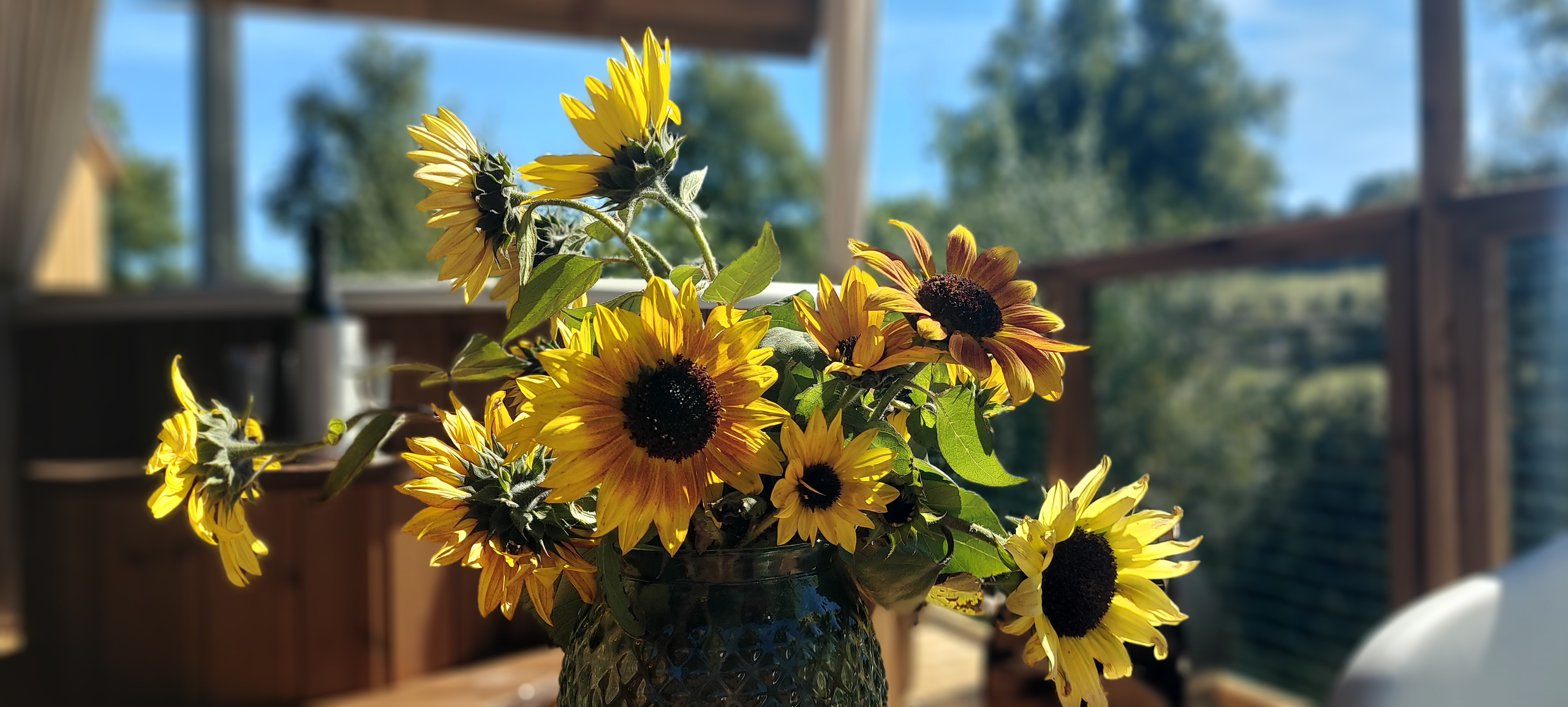 20251002_141945.jpg 20251002_141945.jpg