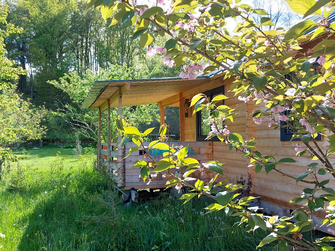 20230510_172806_resized