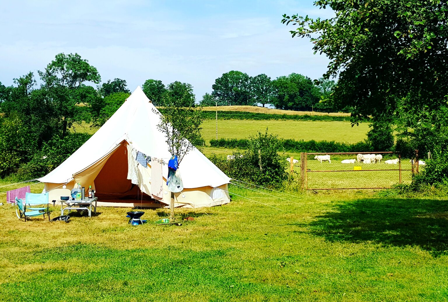 IMG_20200812_193141_662