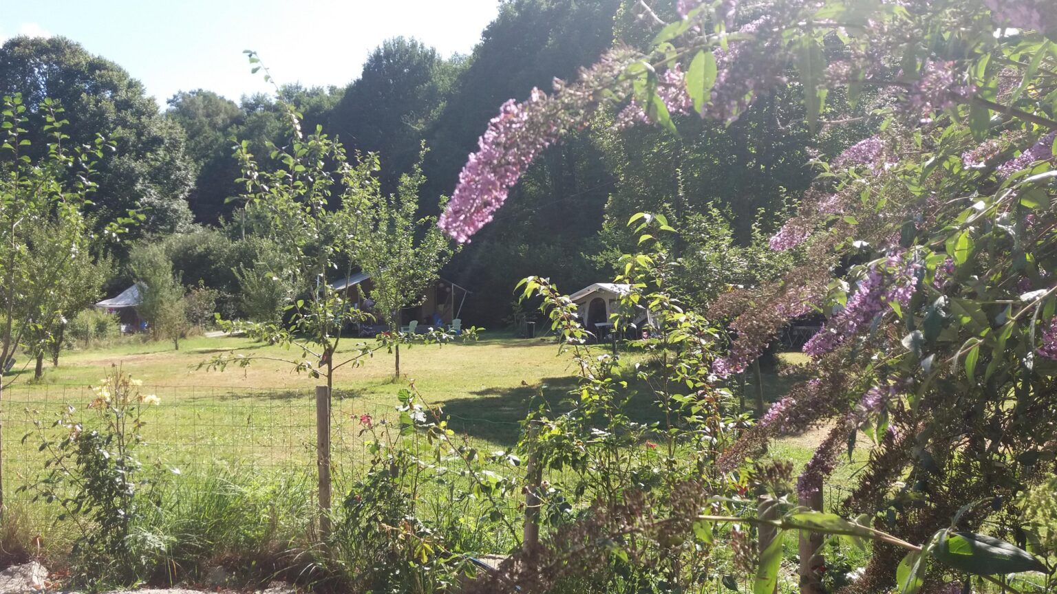 Moulindesjarasses_camping3